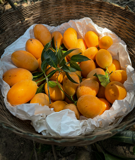 fruits