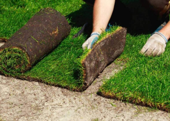 Lawn Care